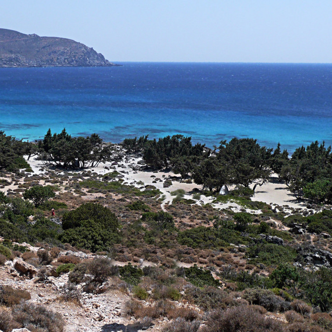 Kedrodasos, Elafonisi, Crete
